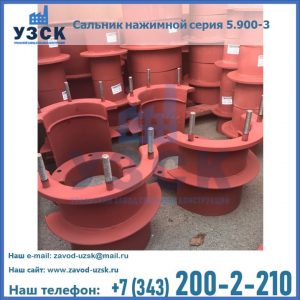 Сальники нажимные серия 5.900-3 в Шахтах